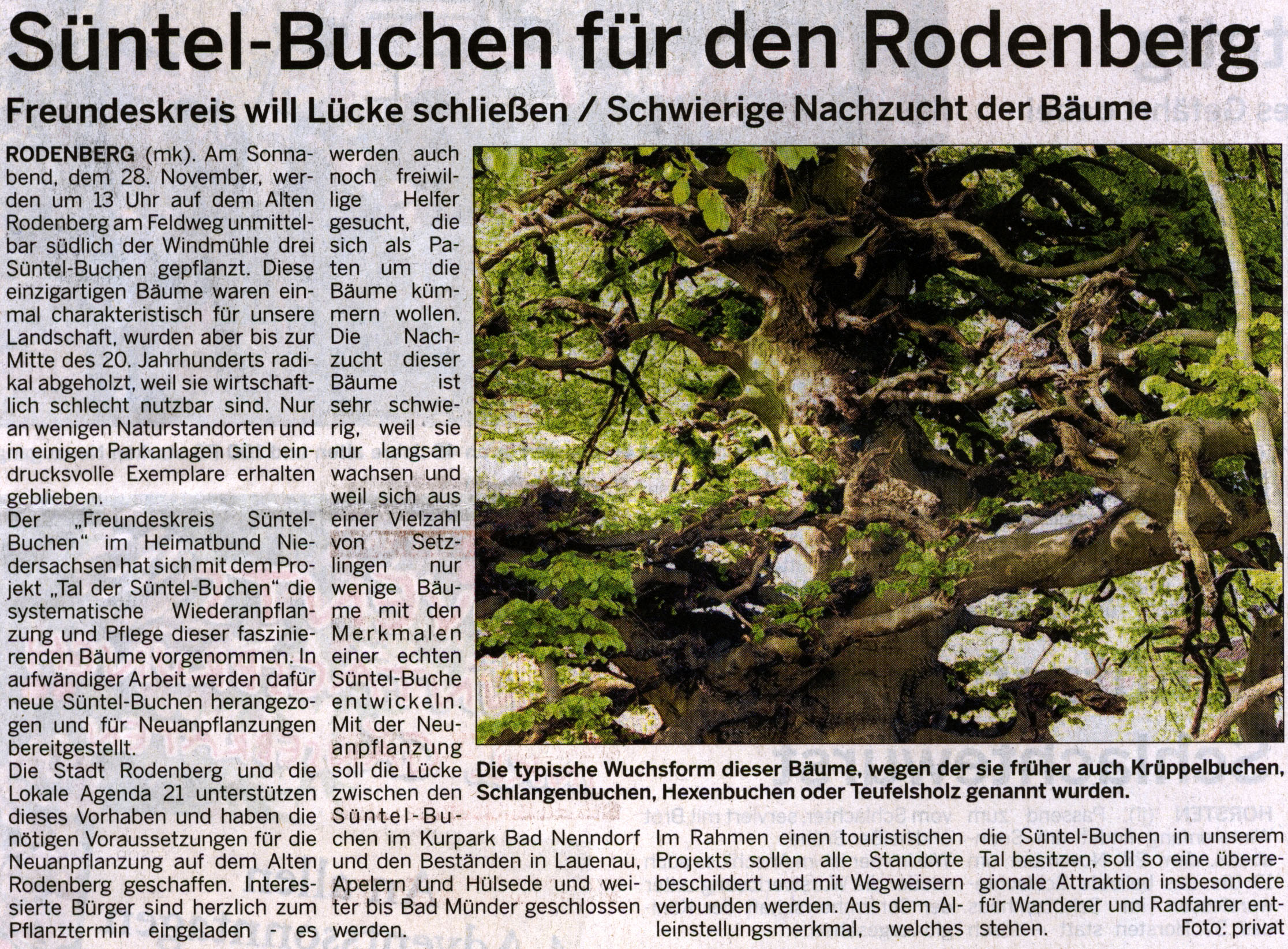 Schaumburger Wochenblatt 25. November 2015, Seite 15