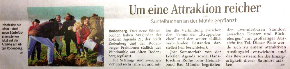 Schaumburger Nachrichten vom 1. Dezember 2015